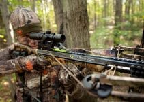 Crossbow Bolts Reviewed