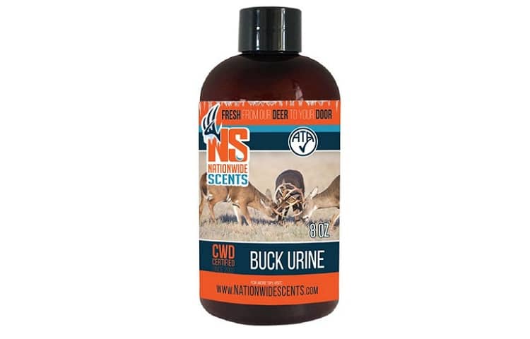 Nationwide Scent Buck Urine Attractant Review